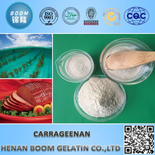 Food Additive Carrageenan Jelly Powder